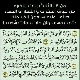 نص دينار tweet media