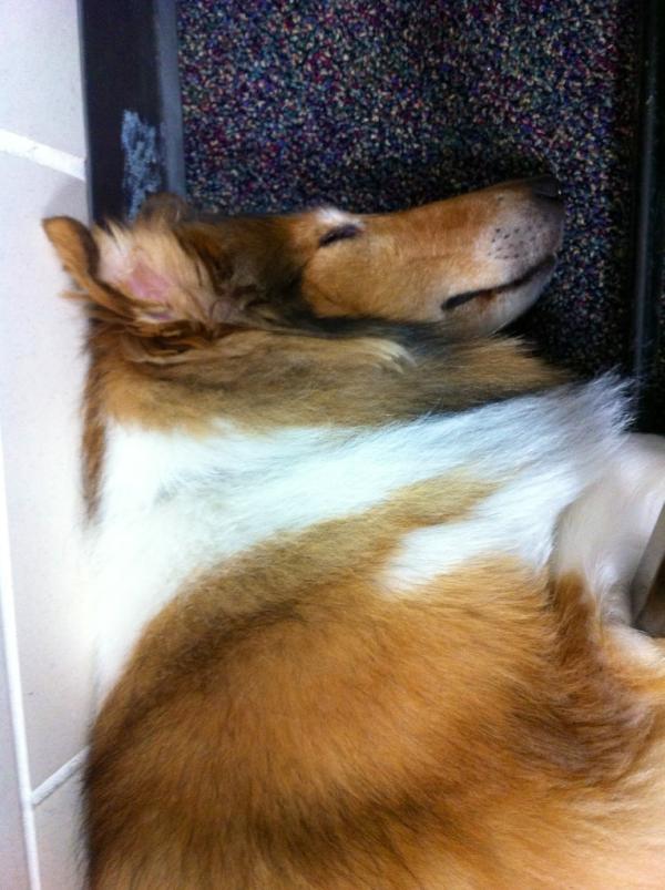 There's something under my desk.