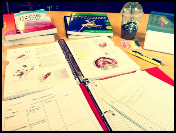 ShimmiShips's tweet image. Studying hard! #headgoingtoexplode