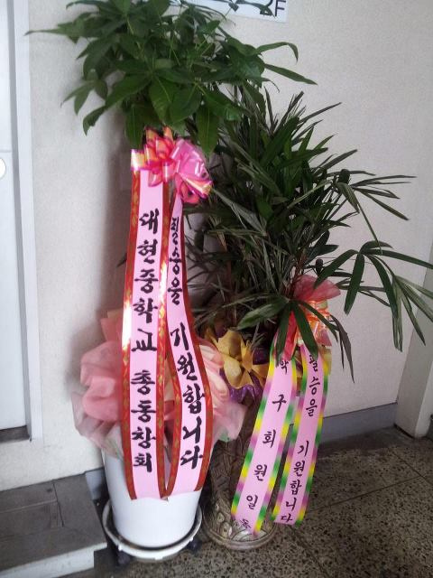 hbi5107's tweet photo. 방금 무소속기호6번 김헌득후보선거사무실로 대현중학교총동창회에서. 무소속기호6번김헌득후보의 필승을 기원하며화분을보냈습니다 학구회회원님들도 함께 보내주셨네요 무소속기호6번 김헌득후보 힘내시라고 화이팅하시라고 감사합니다 http://t.co/4UfIGlpD