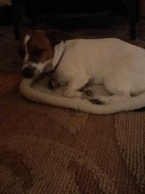 Caroline Rakestraw (acrakestraw) Twitter