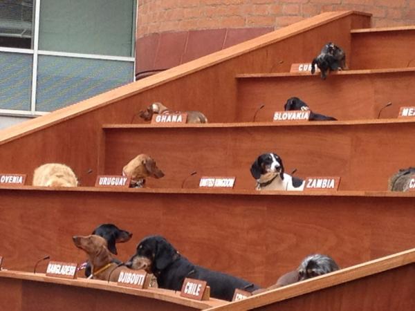 Emjcot's tweet image. Loving the U.N sausage dogs outside the Ikon