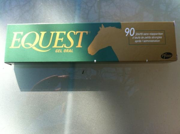 LacdeVeronne's tweet image. De #paarden en pony's, 28 in totaal, krijgen straks hun #wormenkuur (ruim 400 euro) en gaan morgen de lentewei in.