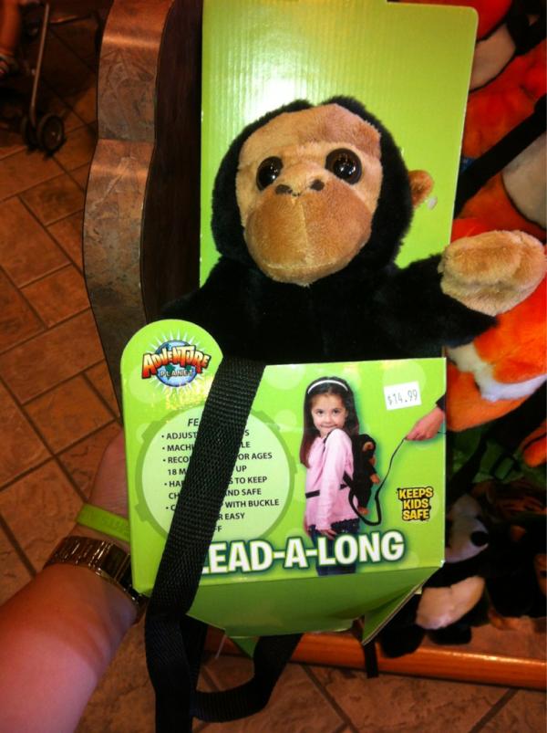 Shelby_Roller's tweet image. @TateTheGreat20 #monkeybackpack