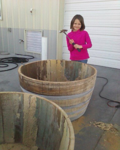 DrinkKoenig's tweet photo. Putting the kids to work over Spring Break. http://t.co/Qt7NBvuT