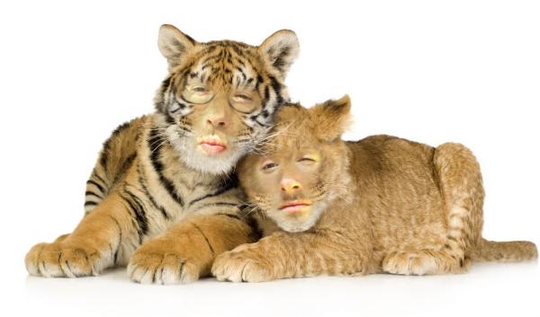 BoxcarShawn's tweet photo. Maybe this is better? http://t.co/OVU5BxUv