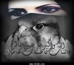 hmcabelz's tweet photo. http://t.co/xeiftx7O