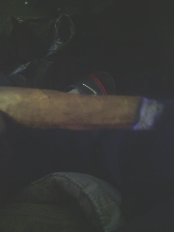 shellzw tweet picture