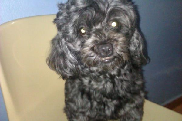LilianaTrillo tweet picture
