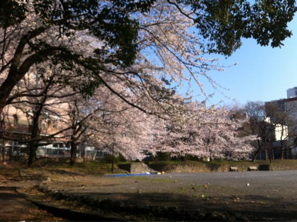 tesugiya's tweet photo. ここいいけど駅から遠いなぁ http://t.co/8y2yXjOR