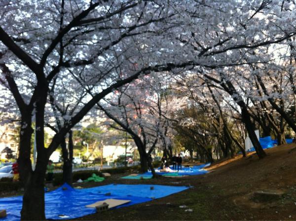 tesugiya's tweet photo. やっぱここか http://t.co/Au35EKPE