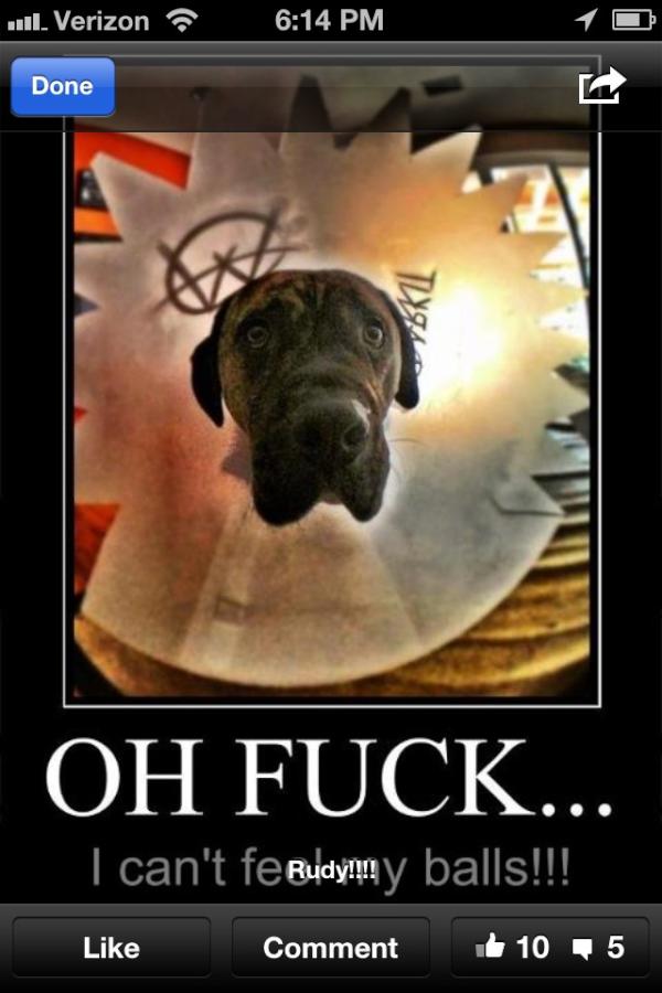 Rudy666 (@rudyenarson) on Twitter photo 