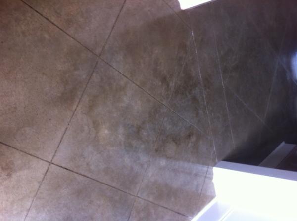 SimStain tweet picture