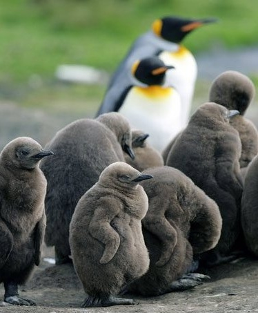 cloudkeyseo tweet picture