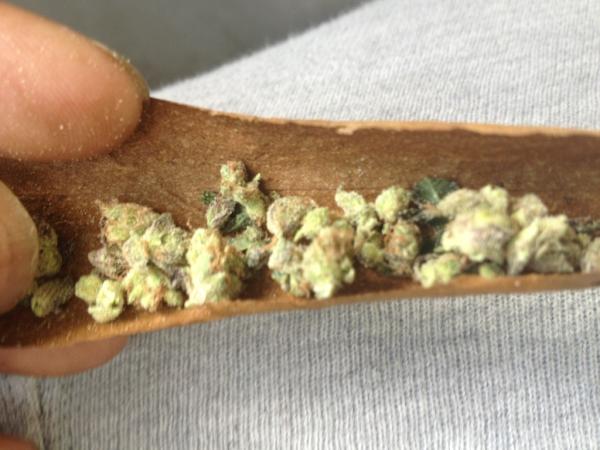 GRINDSLIME845's tweet image. Smoking Dat real loud #darealisback