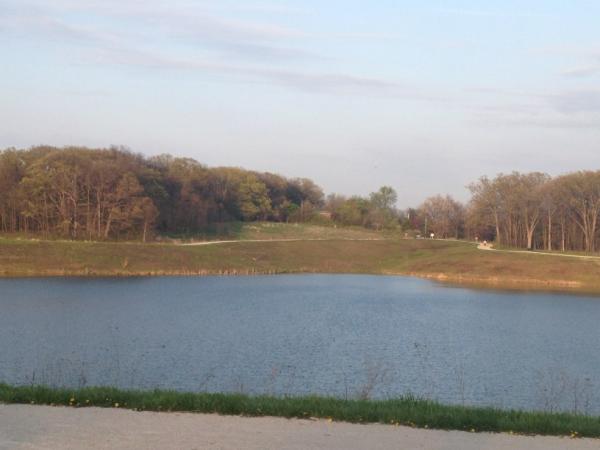 Jessica_Klepack's tweet image. Nice night for a walk with the Hubs &amp; Jack #bugcentral #loveit
