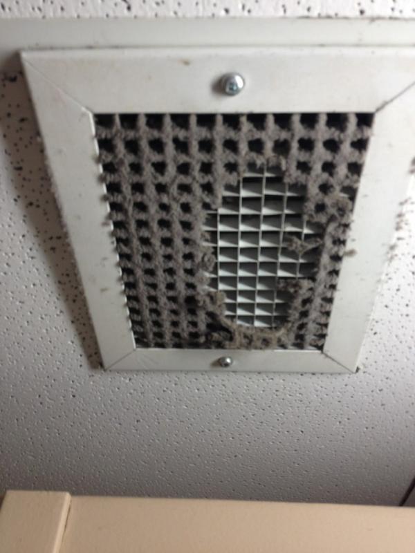 Jlpollz's tweet image. Ew ew ew ew ew ew #resproblems @georgieps @kitkatbark @sydneeyholmes @traceyseed @sarahj_miller