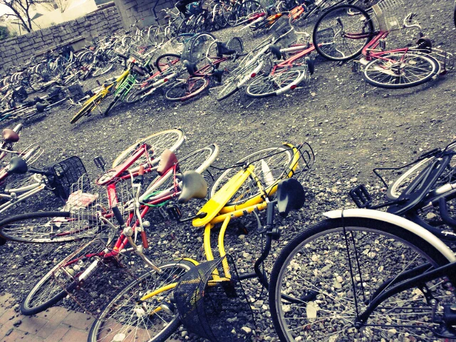 こんなの絶対おかしいよ(武蔵美自転車置き場) 