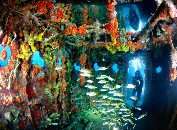 Senturia_News's tweet image. так вот он какой, оказывается, железный риф 0.0
senturia.ru/daily/zhelezny…