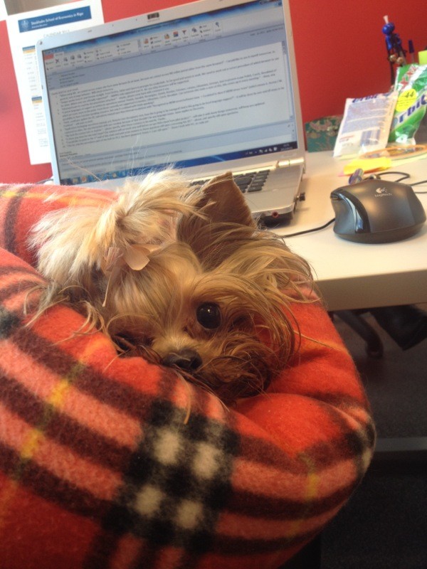 AnnaCimane's tweet photo. @EdgarsMurans это я на работе... С охраной ☺ http://t.co/dhFo6n25