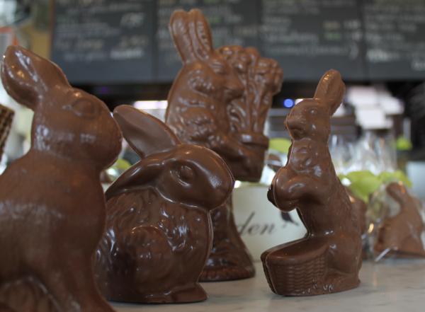 thechocolateco's tweet photo. @bucketsnspades adorable! Take a look at ours! http://t.co/oz26tdhq