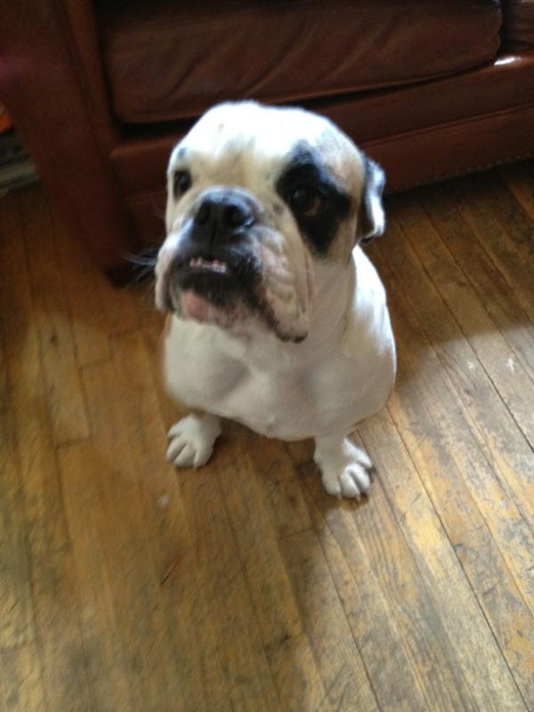 kampfire's tweet image. George was a special guest at my soloNOVA meeting this morning.