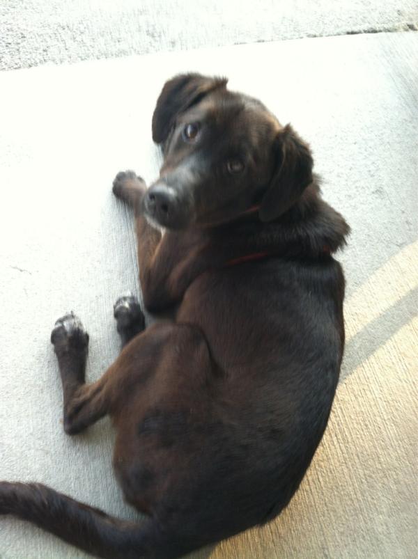 JVantz's tweet photo. Crazy legs Kenny! He needs a home! http://t.co/NoMxNsZY