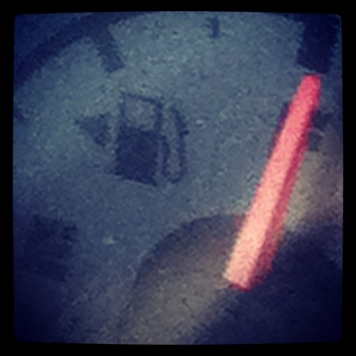 DeadshoT808's tweet photo. Endangered species... http://t.co/wCi8IGRj