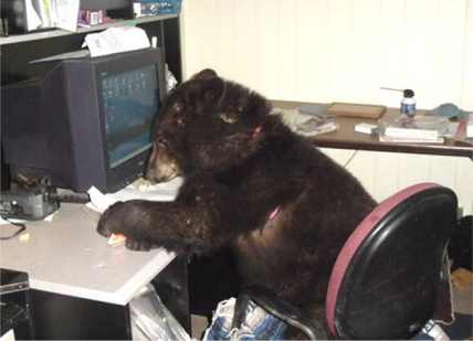 corychecketts's tweet image. This is how I perceive @colbybair in Social Media.  #socmeddiscuss #aggielife