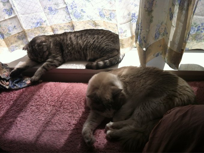 安達　亜美’s pics and videos