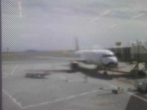 #FlyTheBeard@VirginAmerica