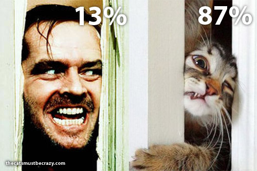 catsmustbecrazy's tweet photo. who wore it best? #cats http://t.co/w603TTa8