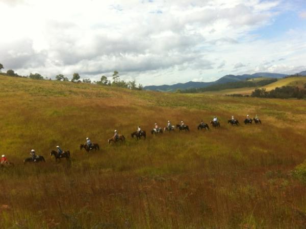Horse riding on the Primary  Camp. Fantastic fun!