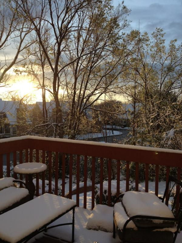GoGlobalDesign's tweet image. #goodmorning! Heres my cold, yet #beautiful welcome home -from #Colorado