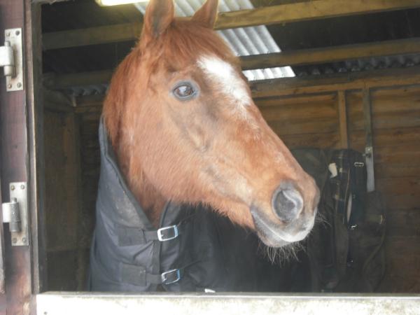 jenniferwild1's tweet image. office@constablevets 
rachael this is robbies 28 th birthday photo