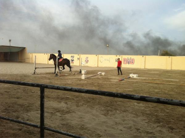 FranDownesBAH's tweet photo. @HadsGlas things are getting worse, this was Charlie's lesson 10 mins ago http://t.co/KN1yakNi