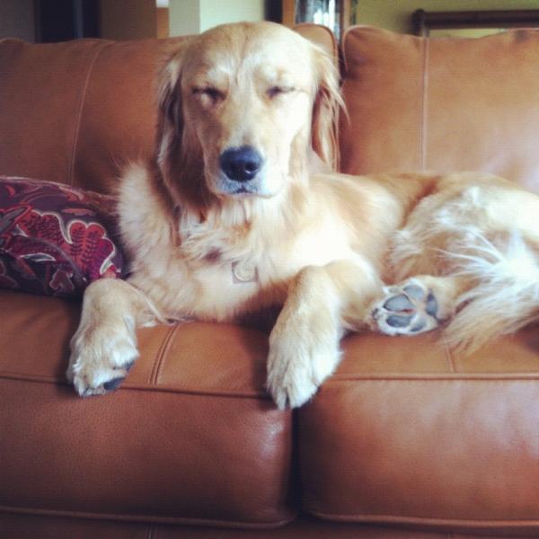 arm_meg's tweet photo. Apparently Iz and I spend the majority of our days doing the same thing: sleeping while sitting http://t.co/1u6A1NUM