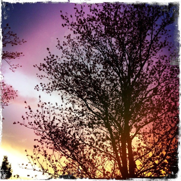 ISF__Virginia's tweet photo. Cute photo... http://t.co/sWt4OFzx