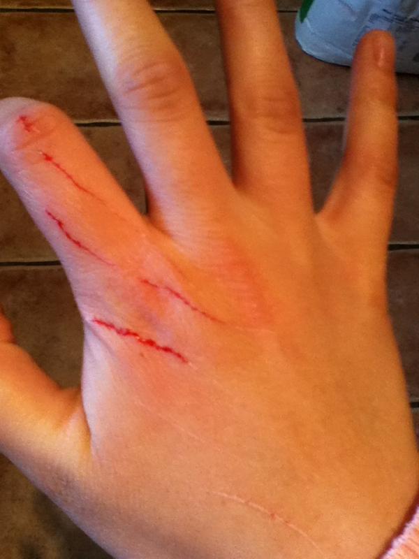 evy_tang15's tweet image. New aim in life: sell the stupid cat. #evilbeast