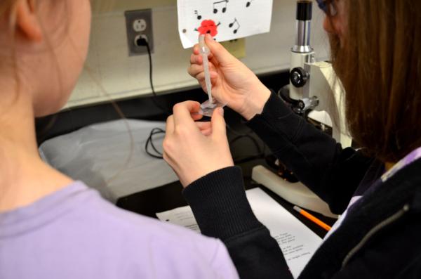 stroutscience's tweet image. Cells!  Cells!  Cells!  #microscopelab #STEM #scienceteacher