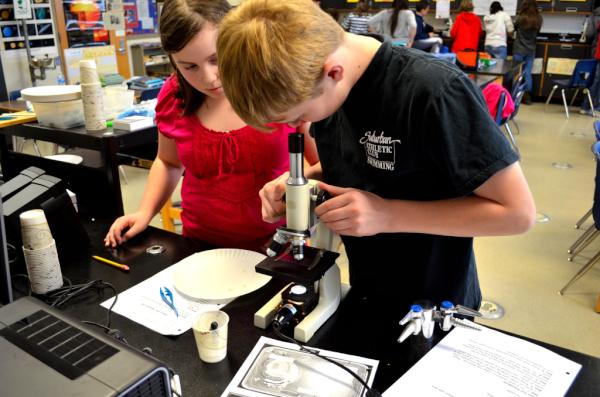 stroutscience's tweet image. more, more:  Cells!  Cells!  Cells!  #microscopelab #STEM #scienceteacher