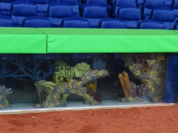Ken Rosenthal On Twitter Actual Fish Tank Behind Home Plate