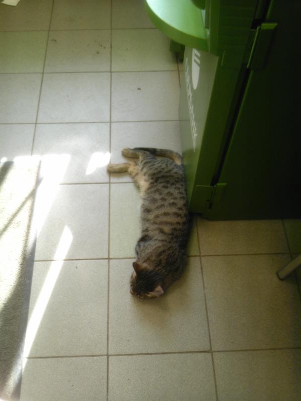 urb's tweet image. На что только не пойдет Сбербанк, чтобы вернуть расположение народа.