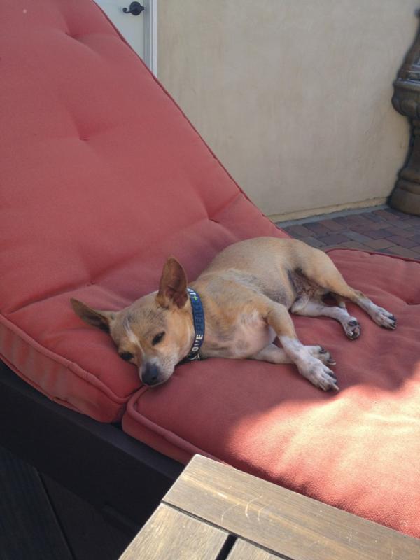 Getting my morning rays