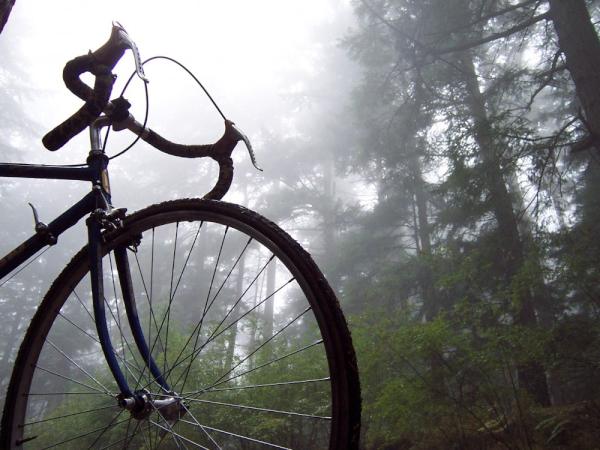 BUY BUY! Reply "buy" to purchase for $11.00 via @ChirpifyDev