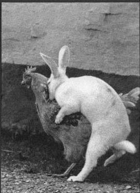 Have a Happy Easter Weekend Everyone! http://t.co/yF0V9AIJ