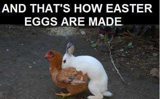 RayMcManus's tweet photo. Easter is coming up!  Now you know... http://t.co/wnq5RmRL