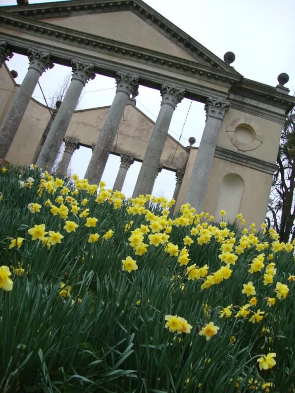 DowntonCat's tweet photo. Had a lovely walk round the gardens yesterday... http://t.co/SrxrCzBN