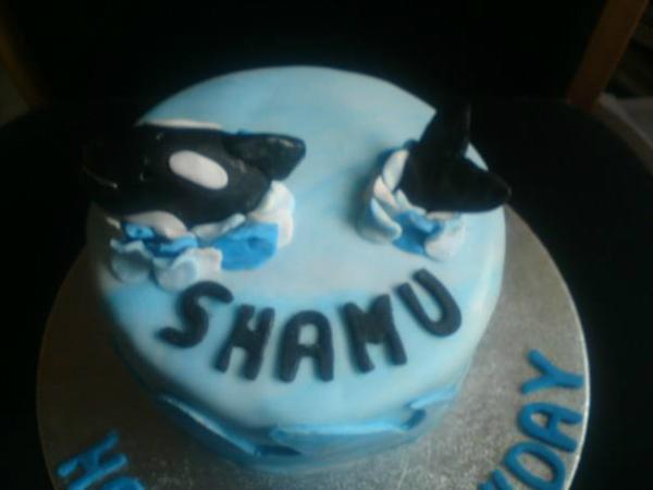 CheekyWeeRiot's tweet photo. The Holiday in May is my Nephews 1st time in Florida! Plus its his Birthday on Sunday! Check his Shamu Cake! @SeaWorld http://t.co/jwSPG5TQ