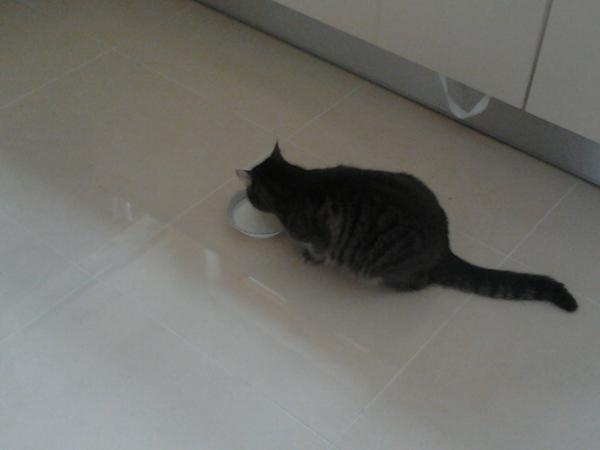 LukeyClark's tweet photo. got milk? http://t.co/VTrGIHlU
